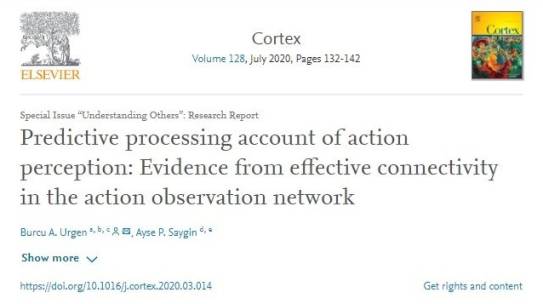 UMRAM’dan Yeni Bir Makale: Predictive processing account of action perception: Evidence from effective connectivity in the action observation network