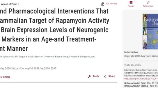 UMRAM’dan Yeni Bir Makale: Dietary and Pharmacological Interventions That Inhibit Mammalian Target of Rapamycin Activity Alter the Brain Expression Levels of Neurogenic and Glial Markers in an Age-and Treatment-Dependent Manner