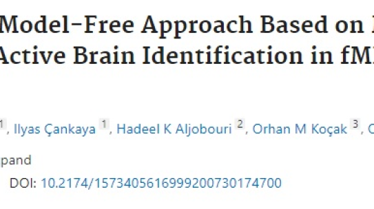 UMRAM’dan Yeni Bir Makale: Optimal Model-Free Approach Based on MDL and CHL for Active Brain Identification in fMRI Data Analysis