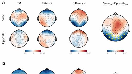 Neural correlates of metacontrast masking across different contrast polarities